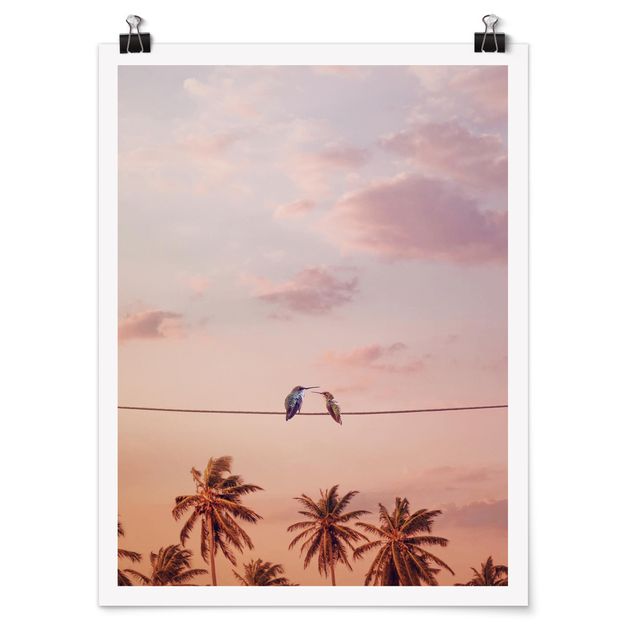 Poster Natur Sonnenuntergang mit Kolibris