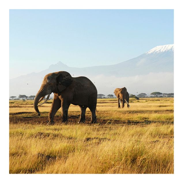 Fototapete Elefanten vor dem Kilimanjaro in Kenya