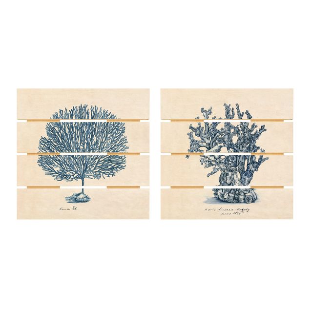 Wandbild Holz Meereskorallen Studie Set I