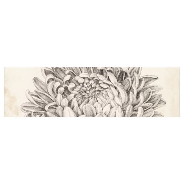 Klebe Dekorfolie Botanische Studie Chrysantheme II