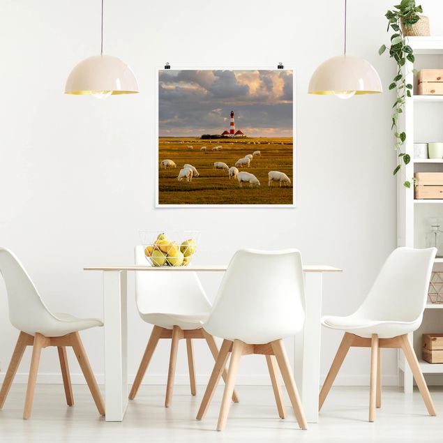 Poster - Nordsee Leuchtturm mit Schafsherde - Quadrat 1:1