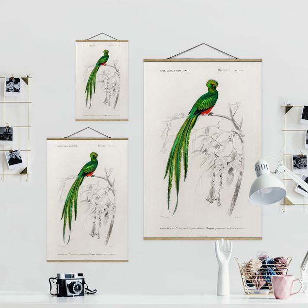 Stoffbild mit Posterleisten - Vintage Lehrtafel Tropischer Vogel I - Hochformat 2:3