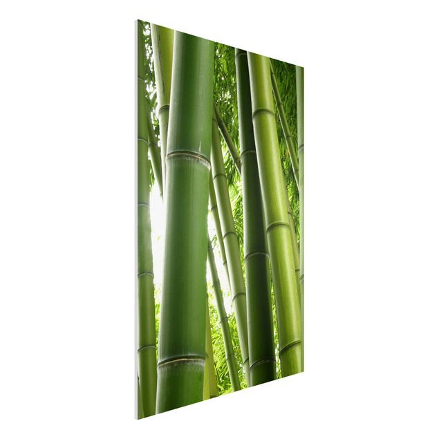 Bilder auf Hartschaumplatte Bamboo Trees No.1