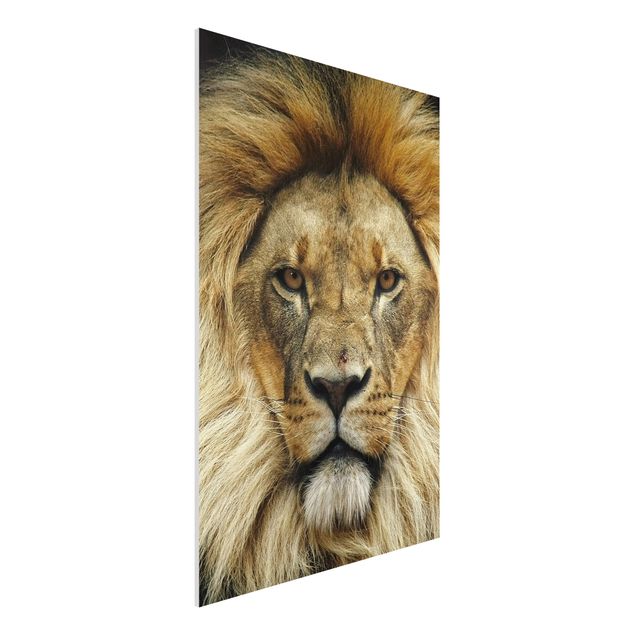 Wandbilder Tiere Wisdom of Lion