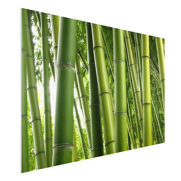 Bilder auf Hartschaumplatte Bamboo Trees No.1