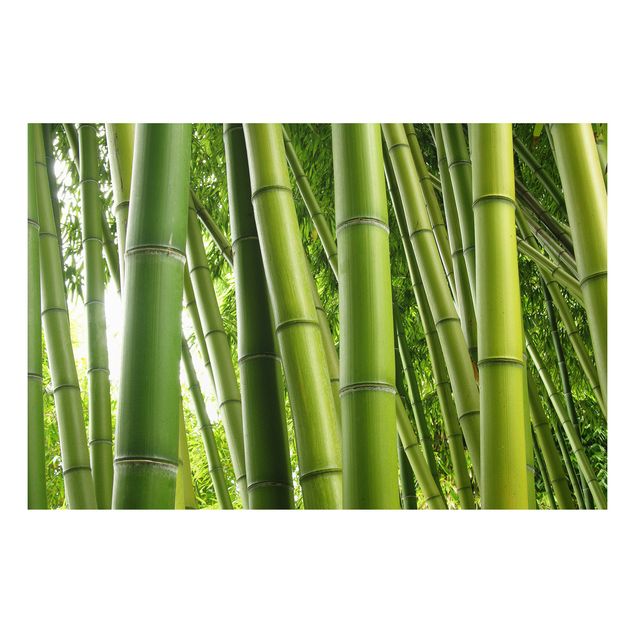 Bilder für die Wand Bamboo Trees No.1