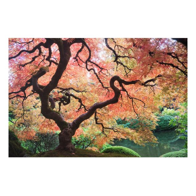 Schöne Wandbilder Japanischer Garten
