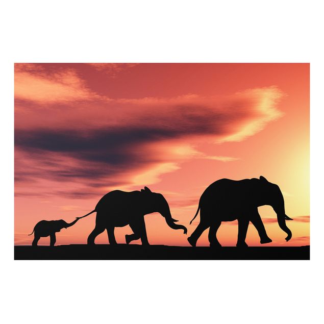 Bilder auf Hartschaumplatte Savannah Elefant Family