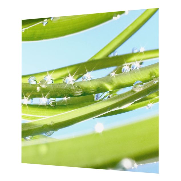 Glas Spritzschutz - Fresh Green - Quadrat - 1:1