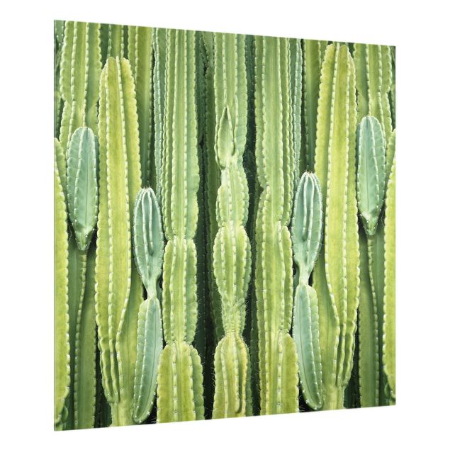 Küchenspritzschutz Kaktus Wand