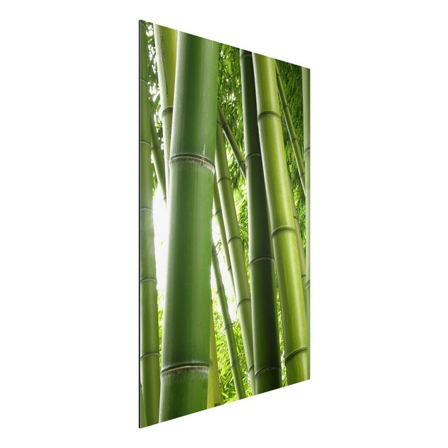 Wandbilder Bamboo Trees No.1