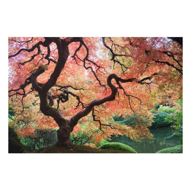 Alu Dibond Bilder Japanischer Garten