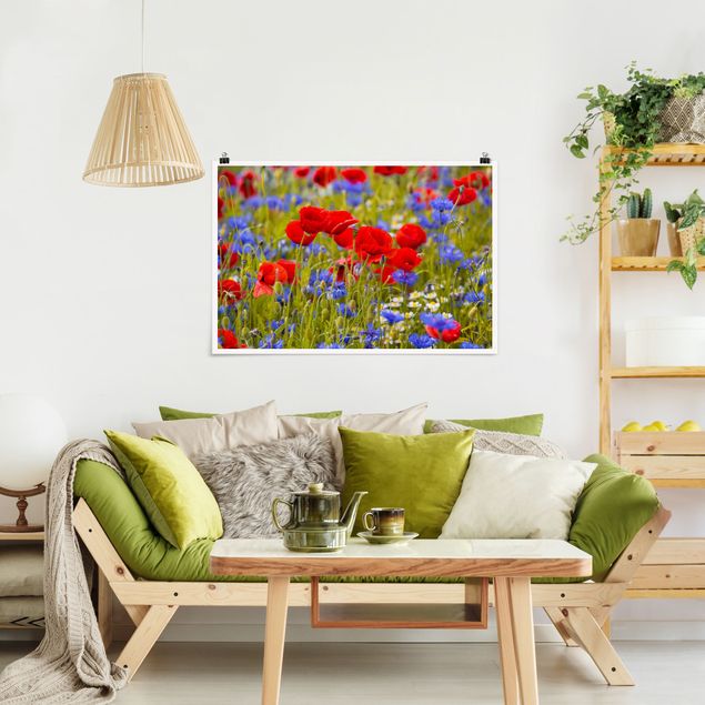 Bilder für die Wand Sommerwiese mit Mohn und Kornblumen
