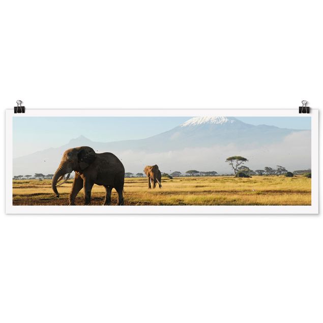 Wandbilder Elefanten vor dem Kilimanjaro in Kenya
