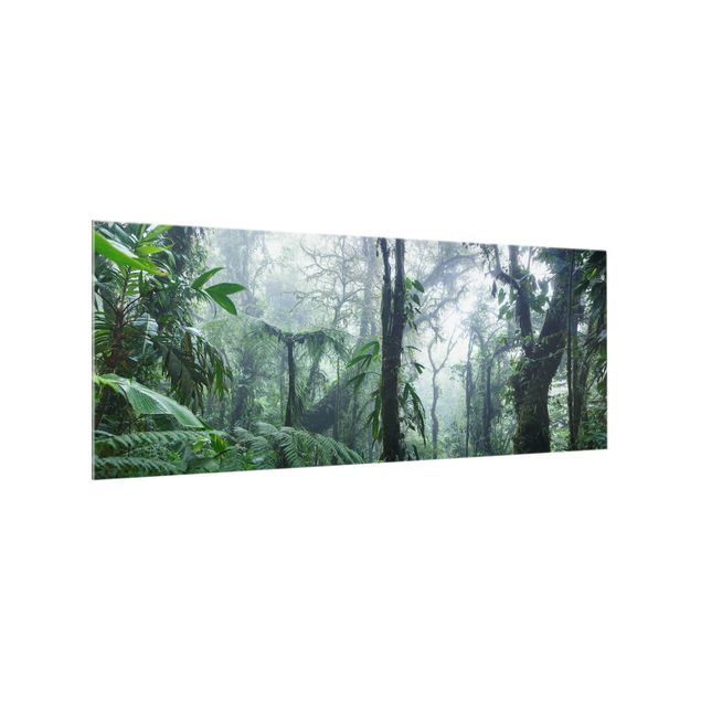 Küchenspritzschutz Monteverde Nebelwald