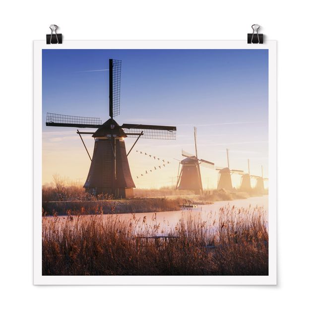 Poster - Windmühlen von Kinderdijk - Quadrat 1:1