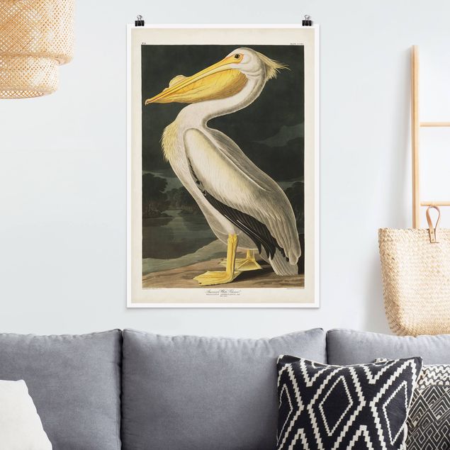 Wandbilder Tiere Vintage Lehrtafel Weißer Pelikan