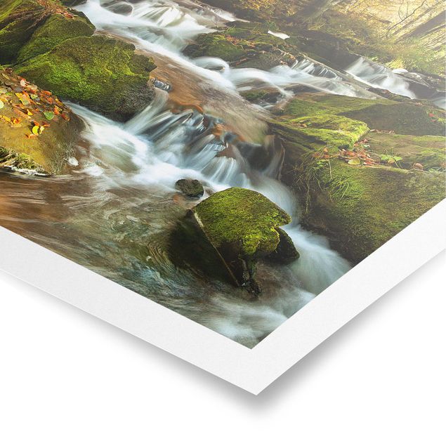Poster - Wasserfall herbstlicher Wald - Quadrat 1:1