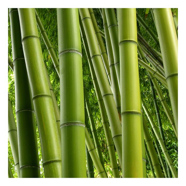 Möbelfolie für IKEA Lack - Klebefolie Bamboo Trees