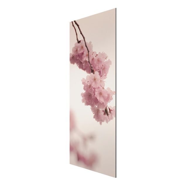 Wandbilder Zartrosane Frühlingsblüte mit Bokeh