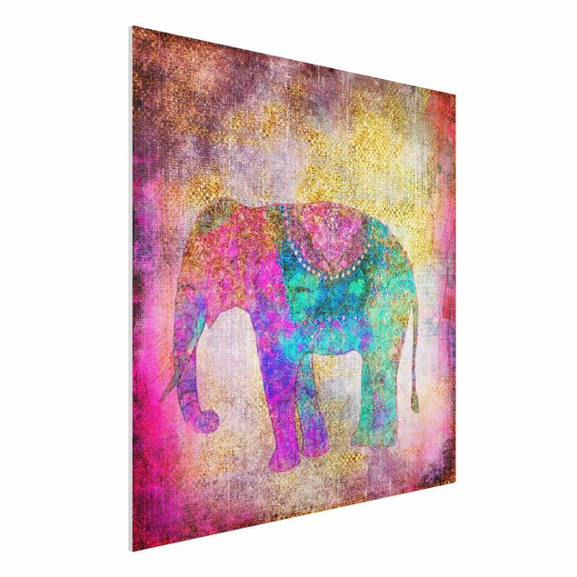 Wandbilder Tiere Bunte Collage - Indischer Elefant