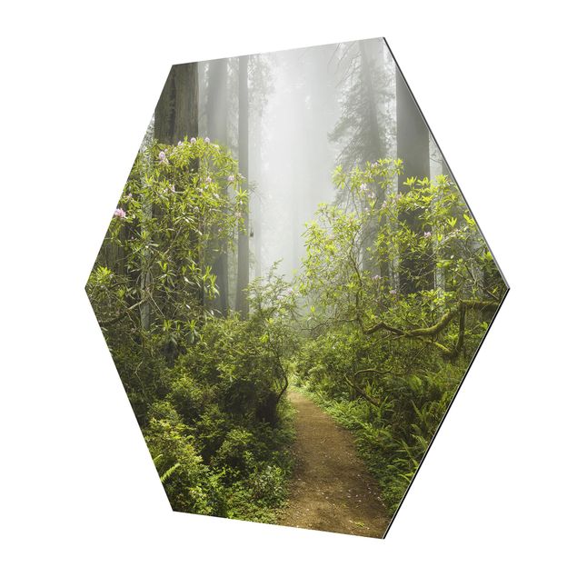 Hexagon Bild Alu-Dibond - Nebliger Waldpfad