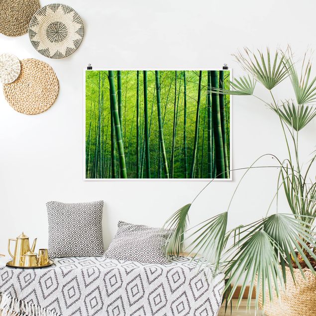 Bilder für die Wand Bambuswald