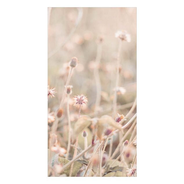 Duschrückwand - Strahlende Blumenwiese