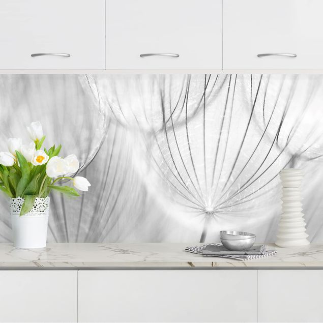 Küchenrückwände Platte Pusteblumen Makroaufnahme in schwarz weiß