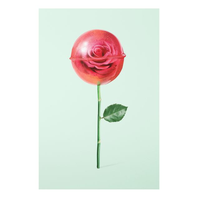 Schöne Wandbilder Rose mit Lollipop