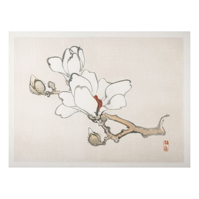 Foto auf Alu Dibond Asiatische Vintage Zeichnung Weiße Magnolie