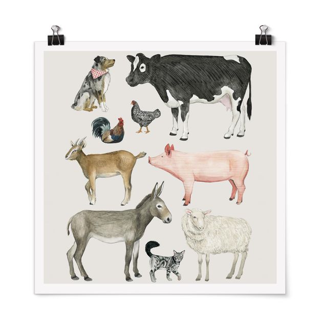 Poster - Bauernhof Tierfamilie I - Quadrat 1:1