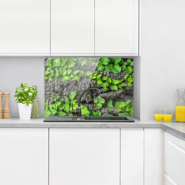Küchenrückwand Glas Blumen Efeuranken Baumrinde