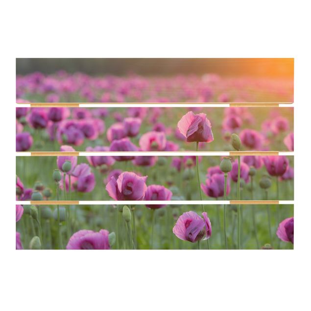 Holzbild - Violette Schlafmohn Blumenwiese im Frühling - Querformat 2:3