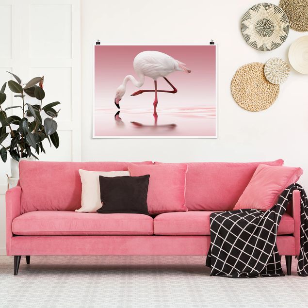 Schöne Wandbilder Flamingo Dance