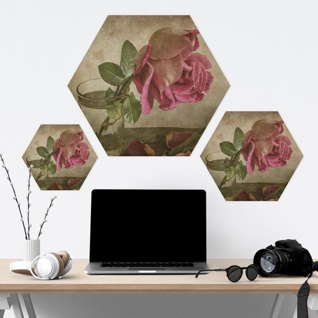 Hexagon Bild Alu-Dibond - Tear of a Rose