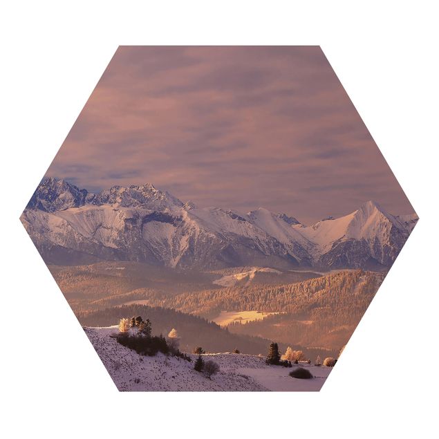 Hexagon Bild Alu-Dibond - Hohe Tatra am Morgen