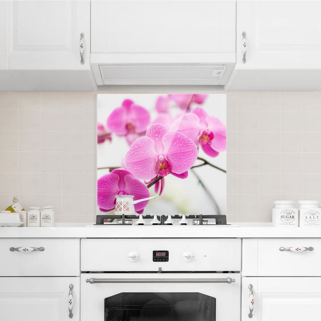 Küchenrückwand Glas Motiv Blumen Nahaufnahme Orchidee