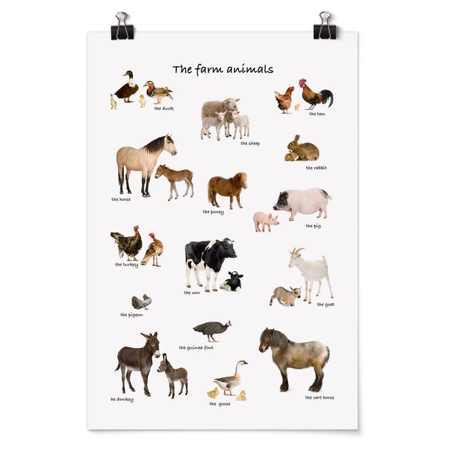 Poster Tiere Farm Animals