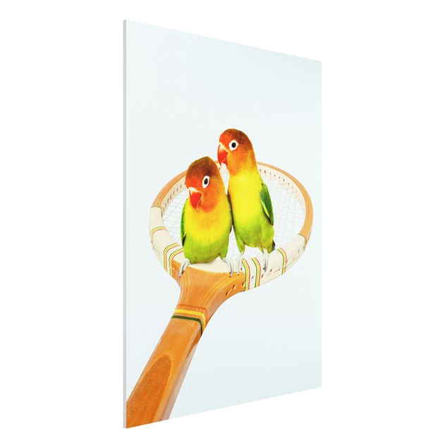 Wandbilder Tiere Tennis mit Vögeln
