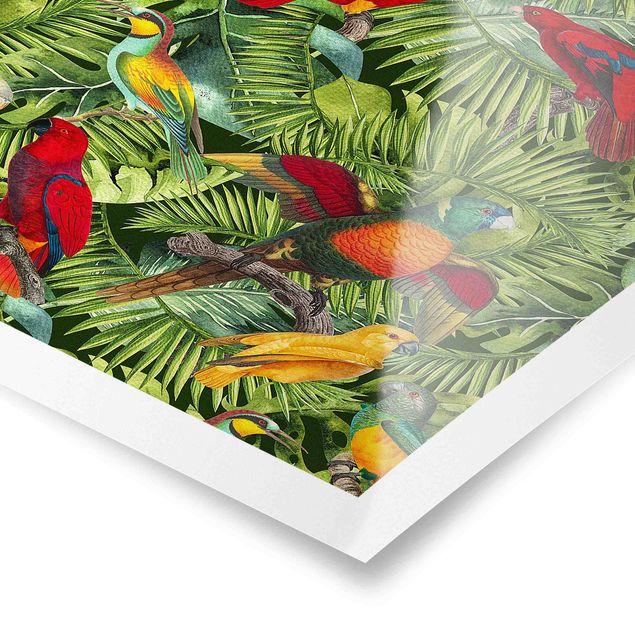 Poster - Bunte Collage - Papageien im Dschungel - Hochformat 3:2