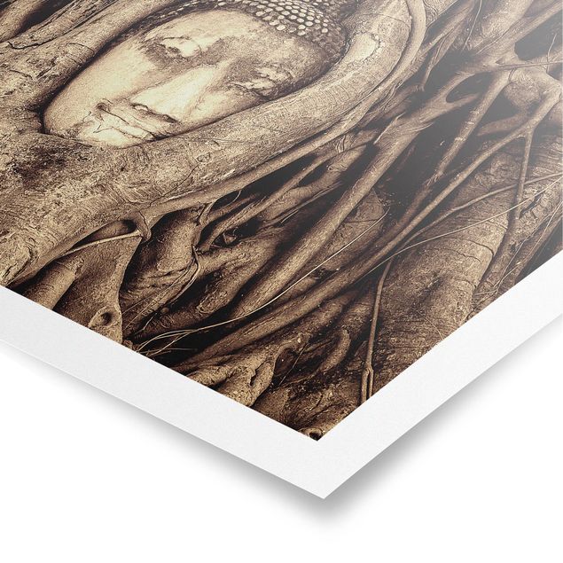 Poster - Buddha in Ayutthaya von Baumwurzeln gesäumt in Braun - Querformat 2:3