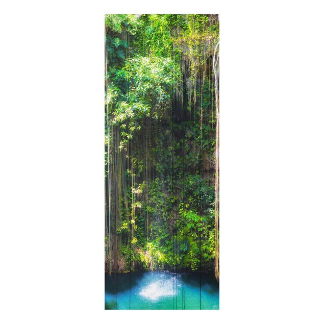 XXL Glasbilder Hängende Wurzeln von Ik-Kil Cenote