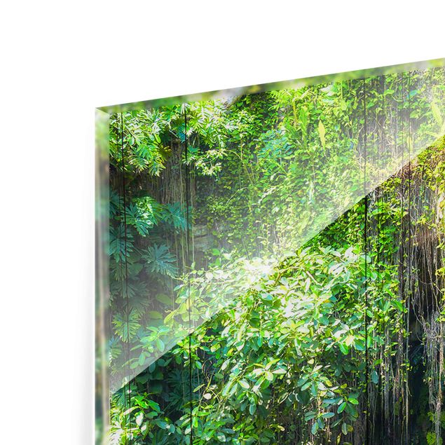 Glasbilder Landschaft Hängende Wurzeln von Ik-Kil Cenote