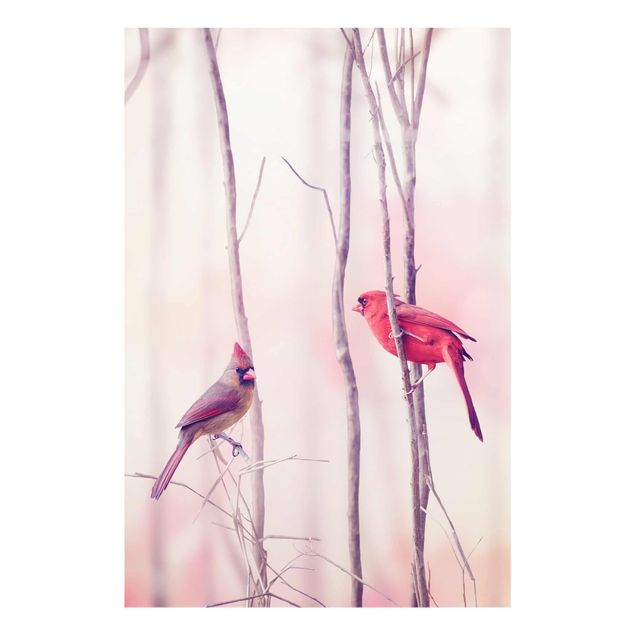 Bilder auf Glas Vögel auf Zweigen