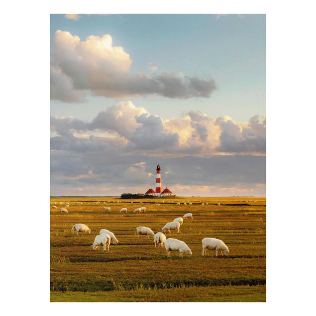 Glasbild Landschaften Nordsee Leuchtturm mit Schafsherde