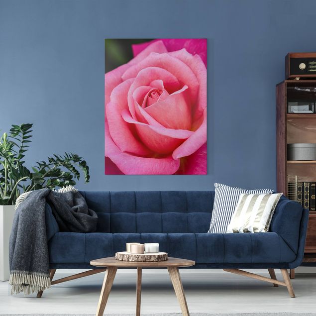 Leinwandbilder Rosen Pinke Rosenblüte vor Grün