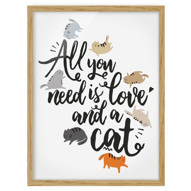 Bilder mit Rahmen All you need is love and a cat