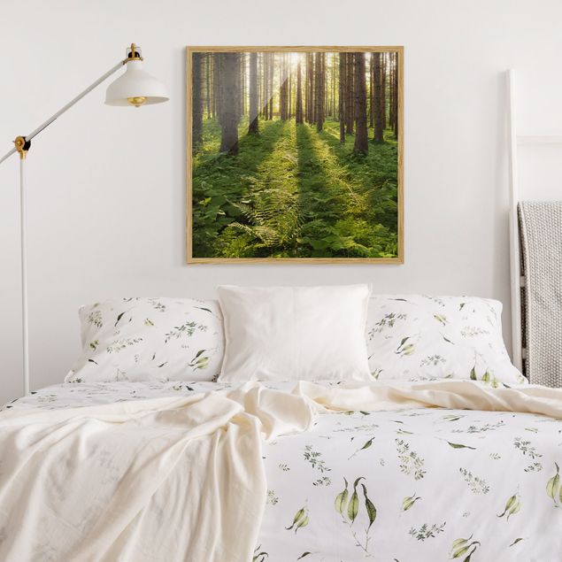 Wandbilder mit Rahmen Sonnenstrahlen in grünem Wald