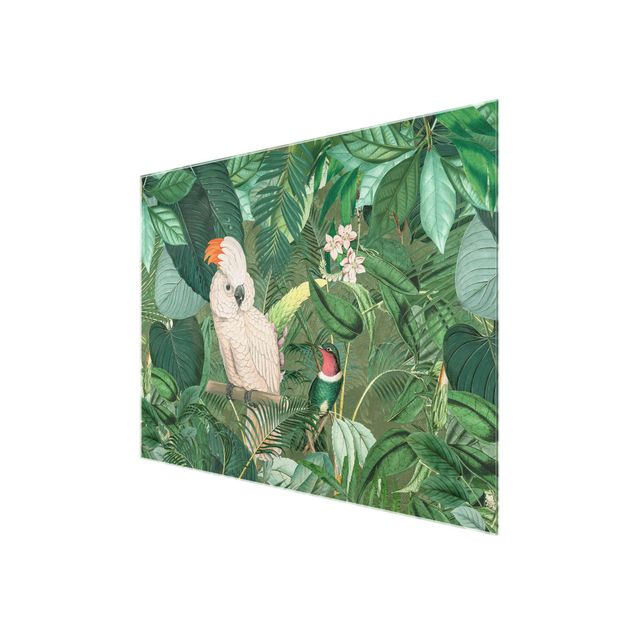 Glas Wandbilder Vintage Collage - Kakadu und Kolibri